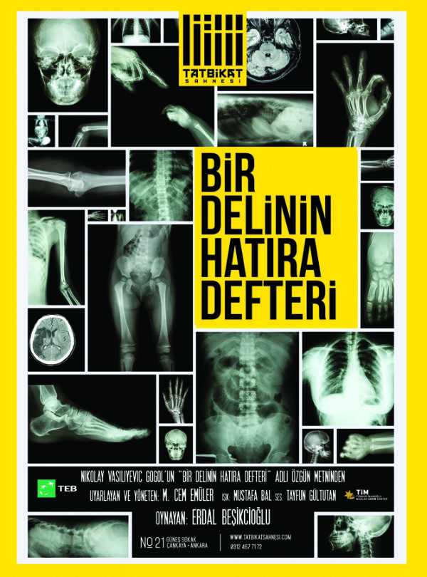 Bir Delinin Hatıra Defteri